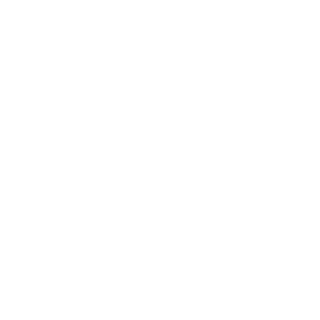 MvR Richthofen's emblem