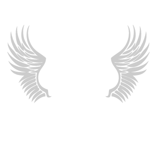 Dynam1C_H's emblem