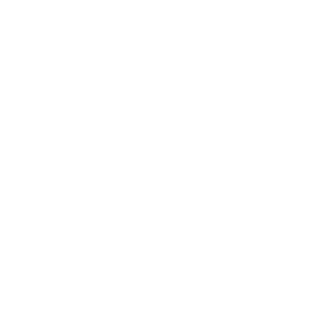 ElChefe101's emblem