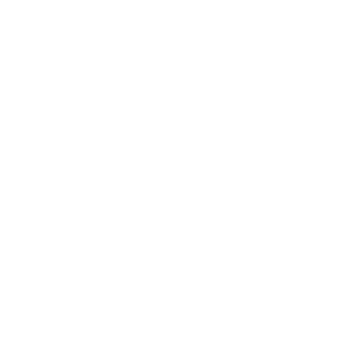 BANXSIS's emblem