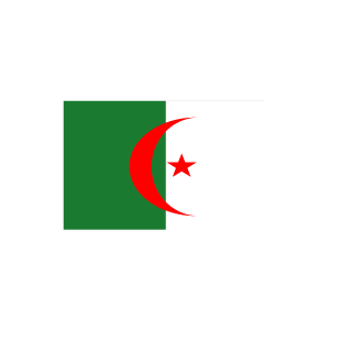 PyR-ICinoI's emblem