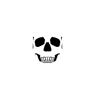 Skazk1's emblem