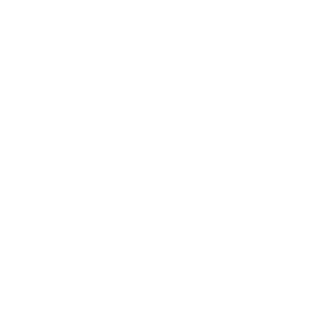 nexiuzz's emblem