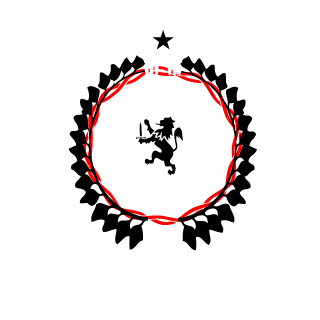 NINE_THOUSAND_MS's emblem
