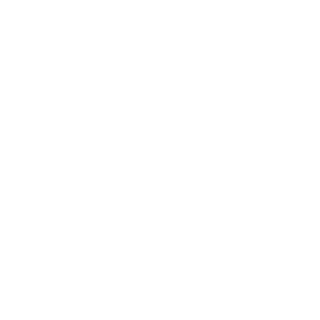 Plat4o's emblem
