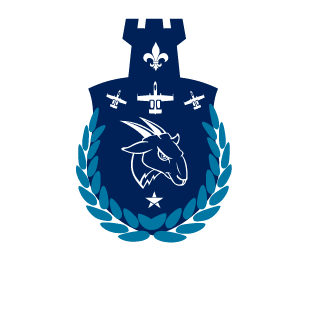 shybalenci's emblem