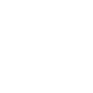 Breaknoon's emblem