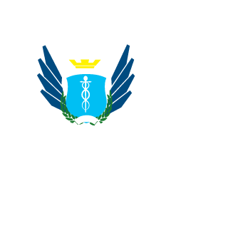 fmatous33's emblem