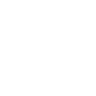 LcN-DoN-ZAPPEE's emblem