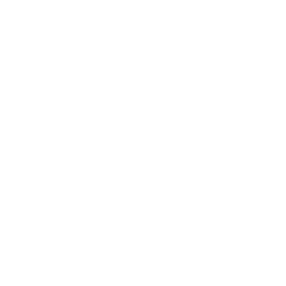---ElFloVV---'s emblem