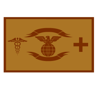 Domvin Actual's emblem
