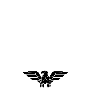 Vampboy22811's emblem