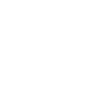 slava13rus's emblem