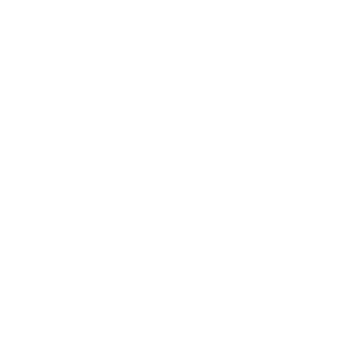 21elnino's emblem