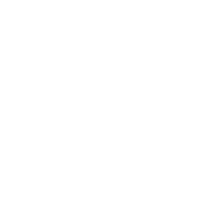 MyKungFu's emblem