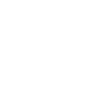Saygvin's emblem
