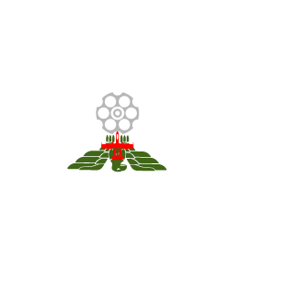 Sheryan911's emblem