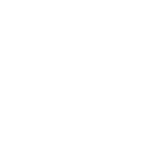 whitewashEU's emblem
