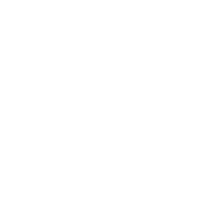 PavelADM's emblem