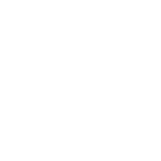 Antifa_Spec_Ops's emblem