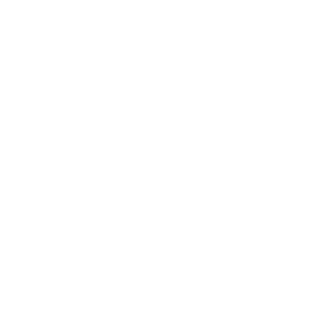 Nevsky_sosal's emblem