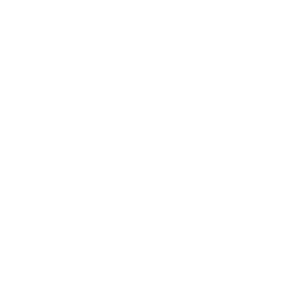 thewettissue's emblem