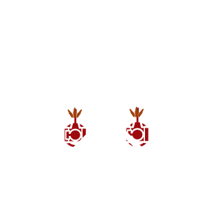 crazyboy12345's emblem