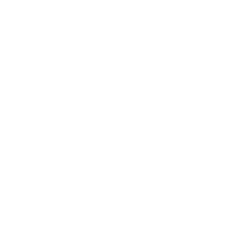 SantaDay's emblem