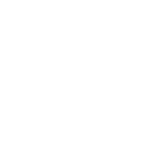 Levi6Y's emblem
