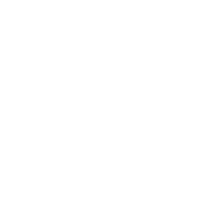 dream_guard20's emblem