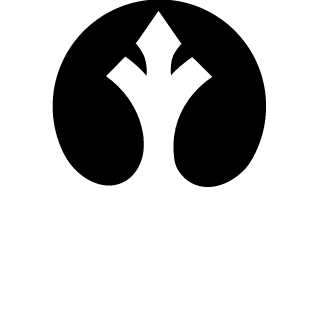 EP1C_J3FF's emblem