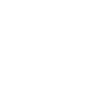 5O1O's emblem