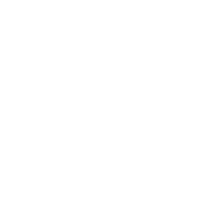 ninjapares's emblem