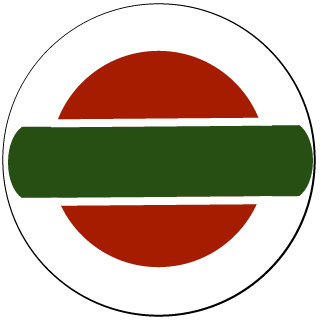 slav_681's emblem