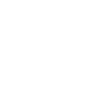 leyf9's emblem