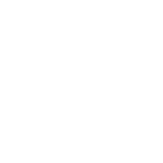 Ziggy_stealth's emblem