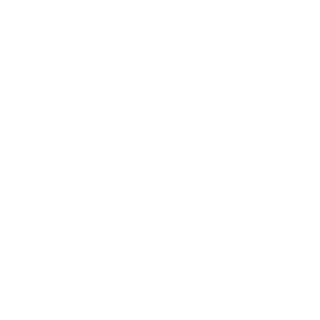 ShaDim28's emblem