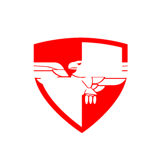 pizzayol0's emblem