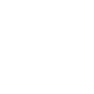 Ron9603's emblem