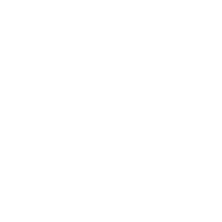 lNExT_SuMMerl's emblem