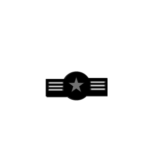 P3NNweo's emblem