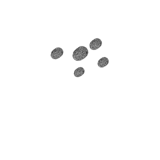 McBozza's emblem