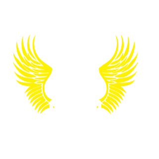 McDejaVu's emblem
