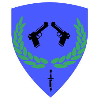 LapzCaus's emblem