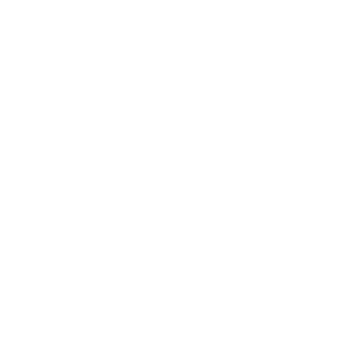 sigmini's emblem