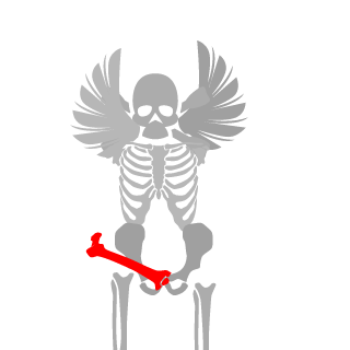 slw1030's emblem