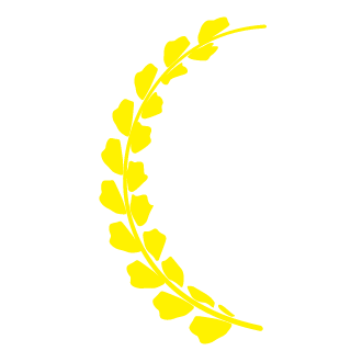 Banch0585's emblem
