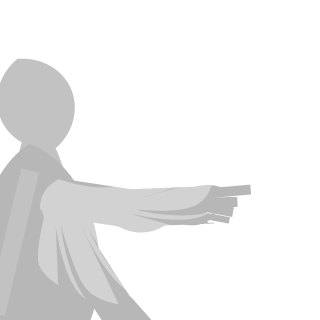 -N4R0N-'s emblem