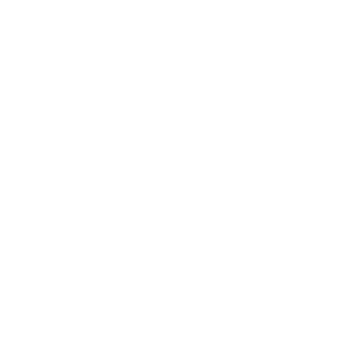 ChurchFool's emblem