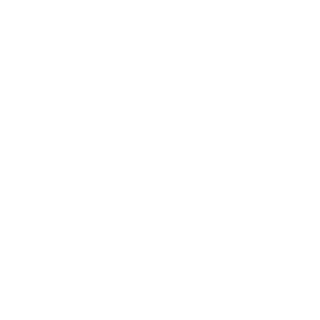 BAZINGA12306's emblem
